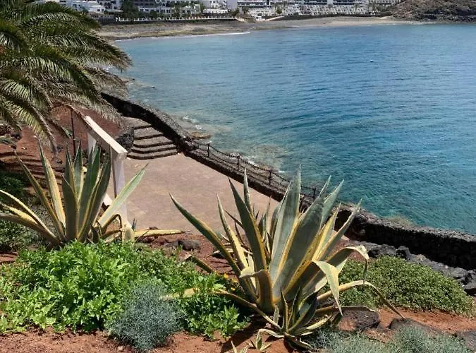 Coloradas Alba Daire Playa Blanca