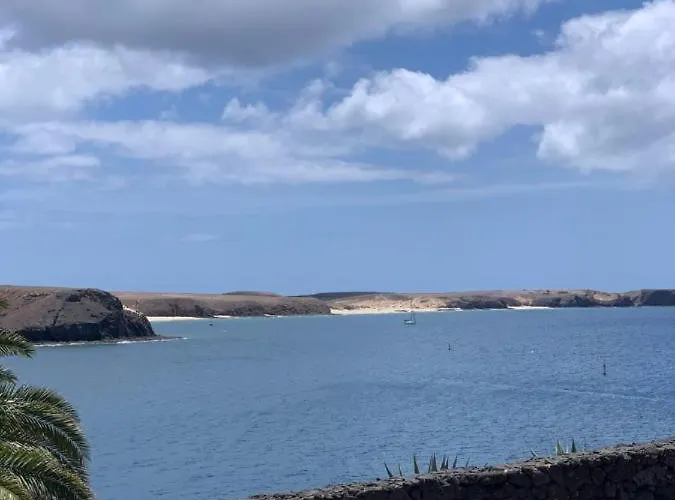 Daire Coloradas Alba *