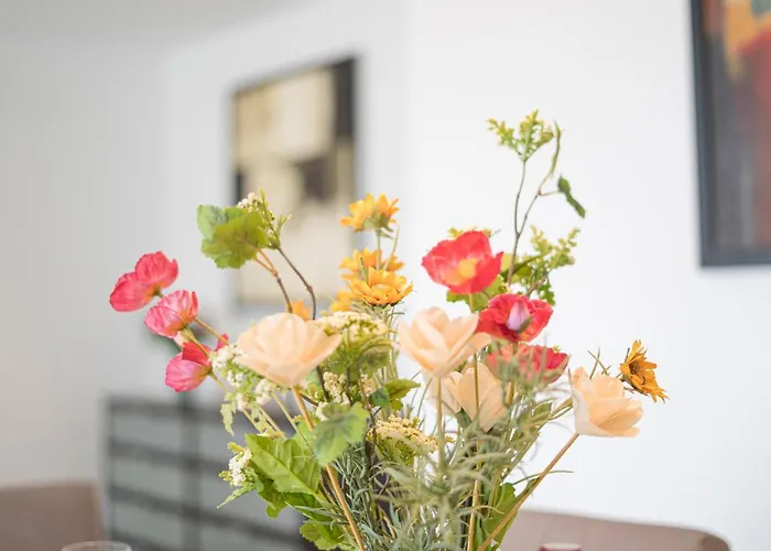 Daire Coloradas Alba